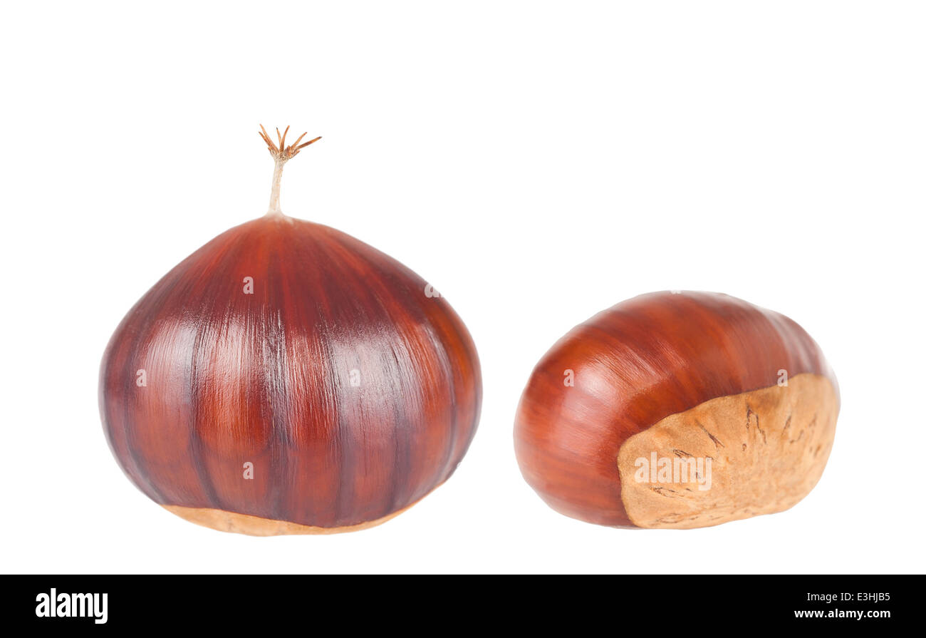 Fruits marrons isolated on white Banque D'Images