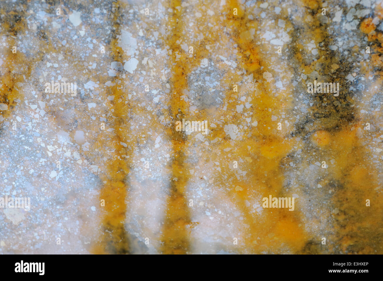 Dépôts d'orange nuageux d'oxydes ferriques insolubles et d'un lustre huileux fragmenté dans un bassin boisé produit par des bactéries réductrices de fer, pays de Galles, Royaume-Uni. Banque D'Images