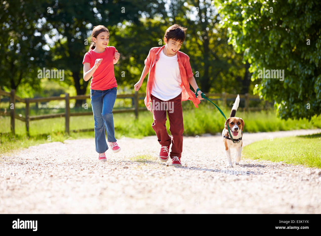 Les enfants hispaniques en tenant pour chien marche dans la campagne Banque D'Images