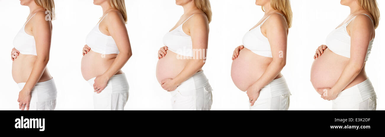 Séquence Studio montrant la progression de la grossesse humaine Banque D'Images