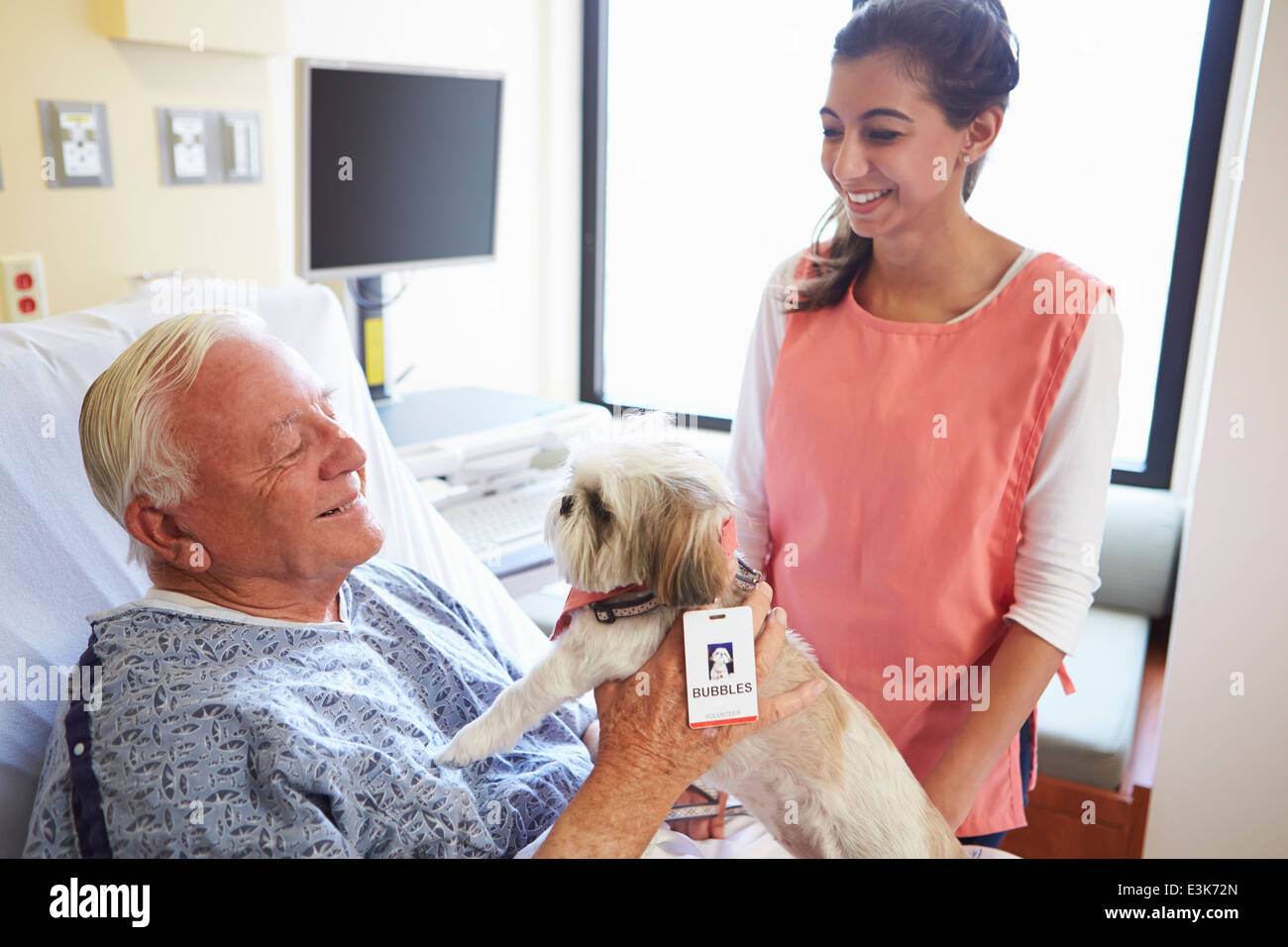 Chien de zoothérapie visiter Senior Male Patient In Hospital Banque D'Images
