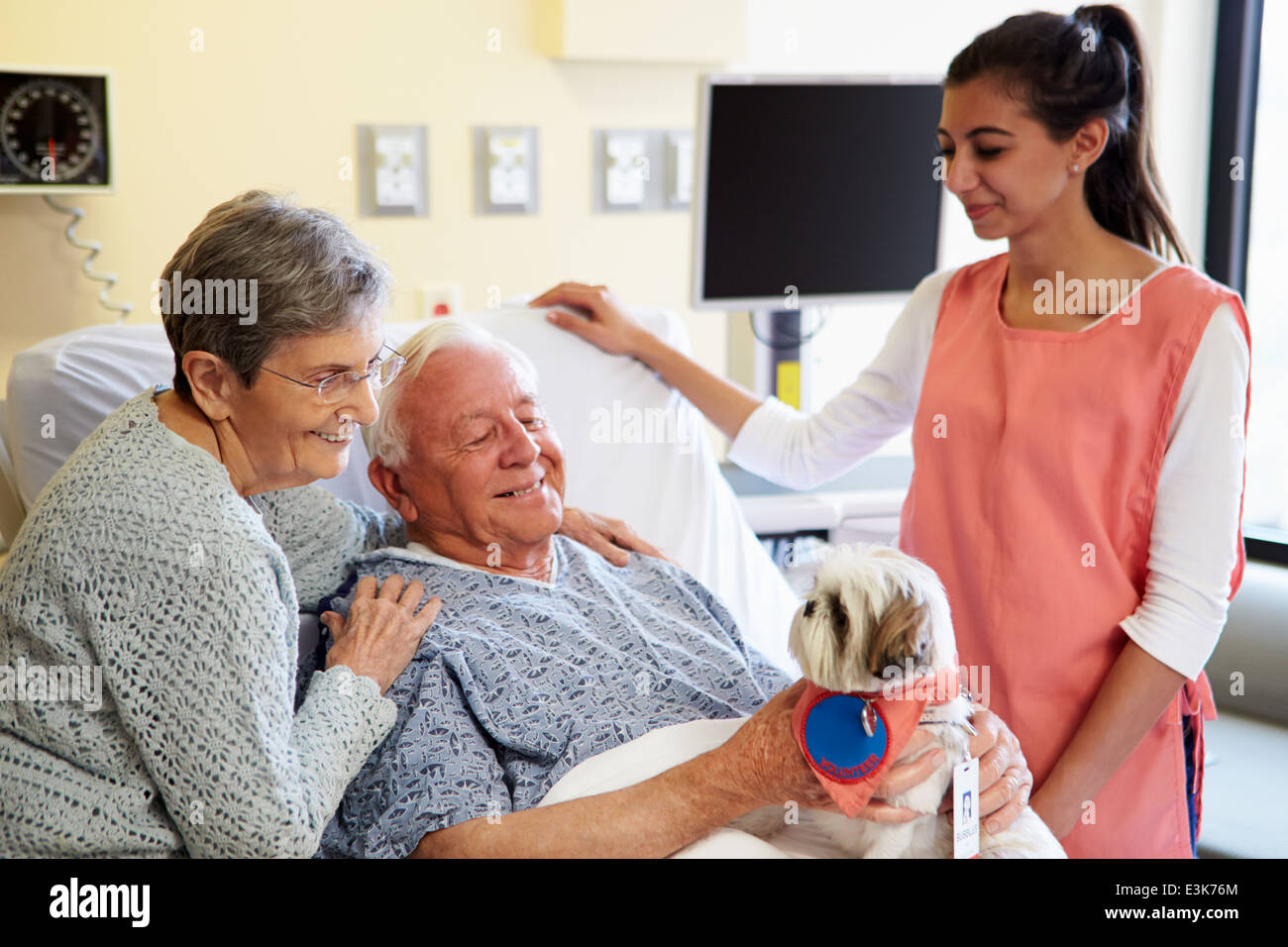 Chien de zoothérapie visiter Senior Male Patient In Hospital Banque D'Images
