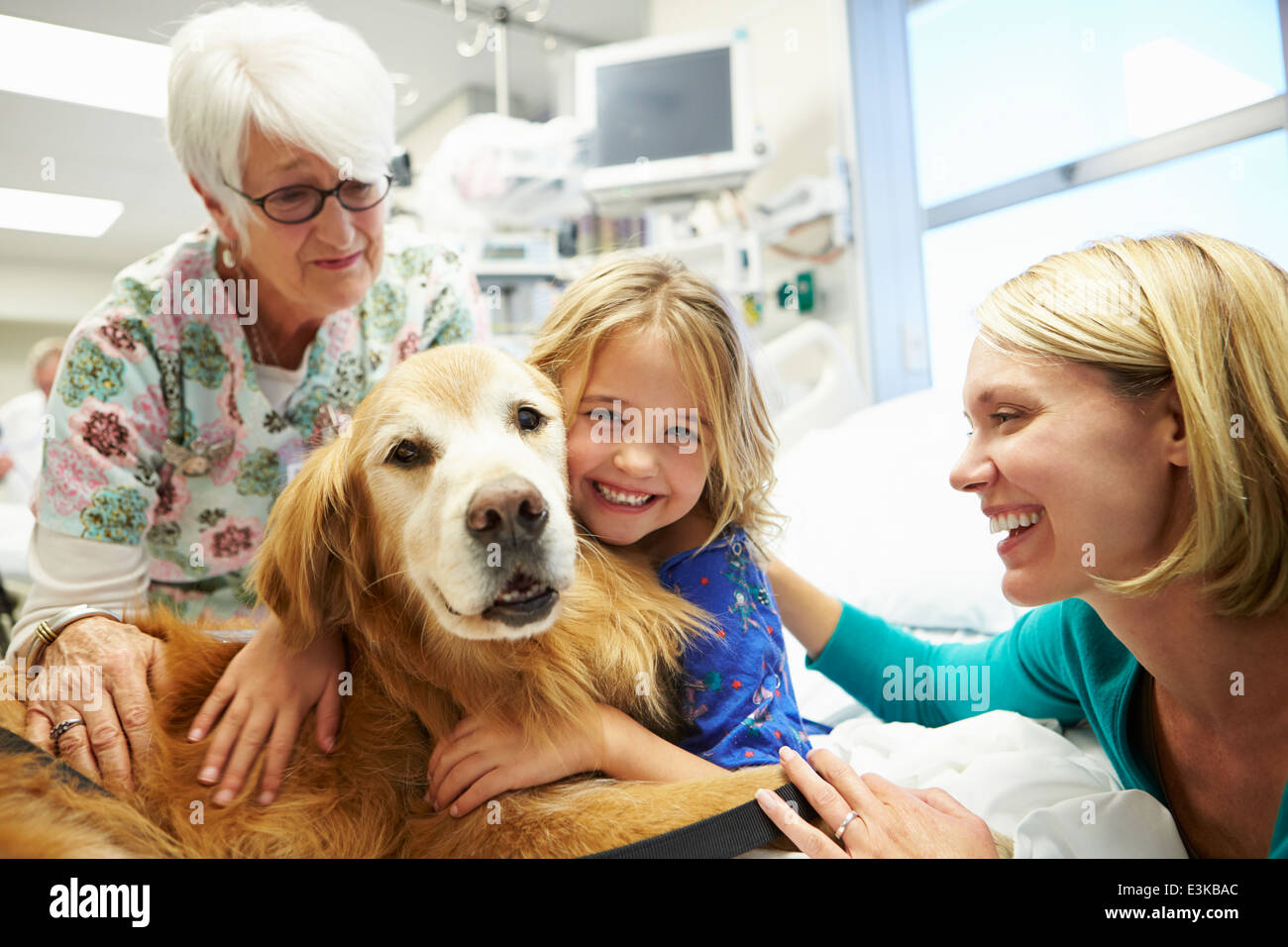 Jeune fille d'être visité à l'hôpital par chien de thérapie Banque D'Images