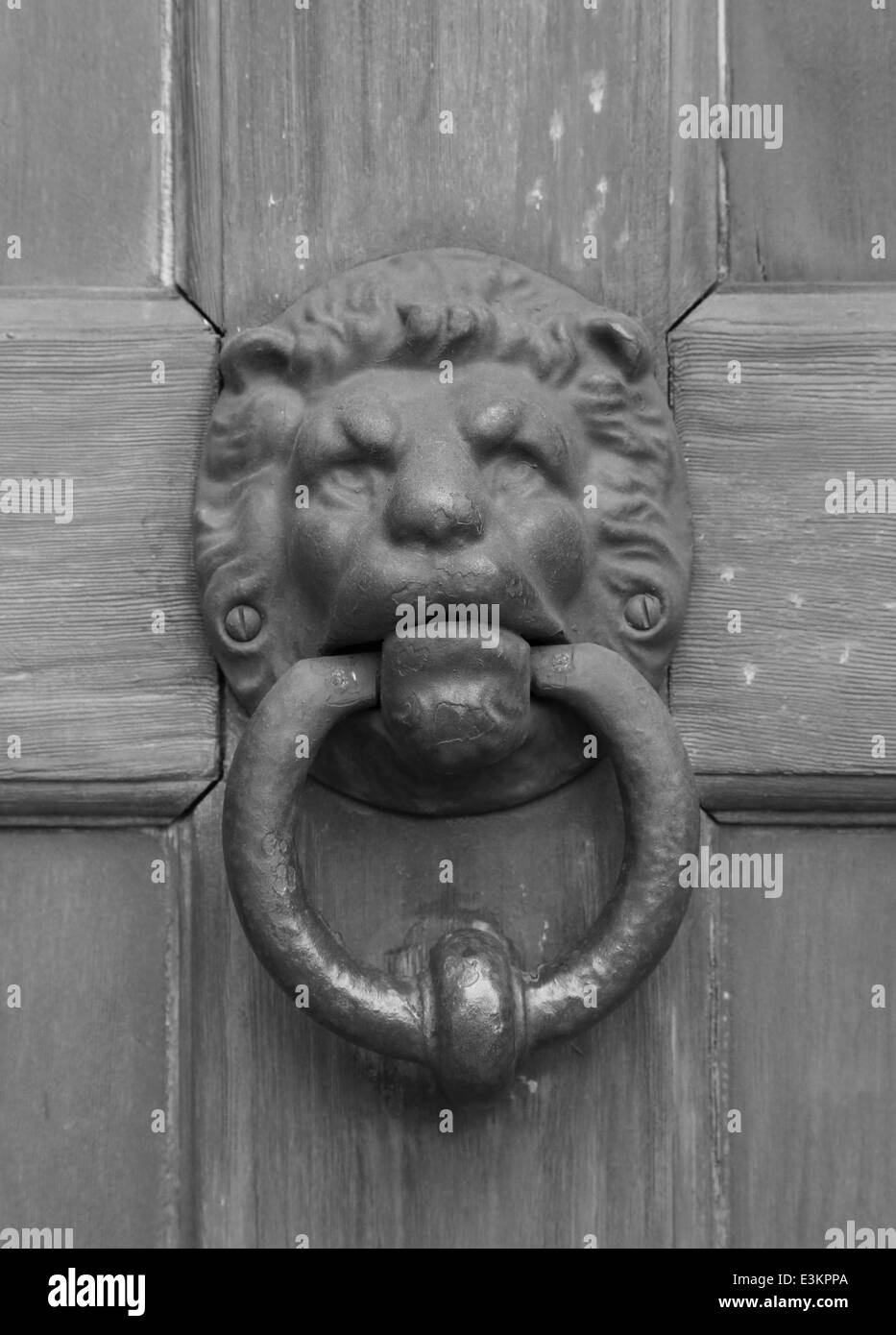 Heurtoir de porte oriental vintage metal lion sur porte en bois (échelle de gris) Banque D'Images