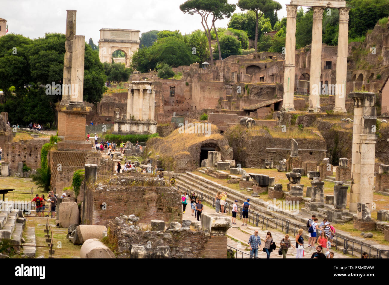 Le Forum de Rome Banque D'Images