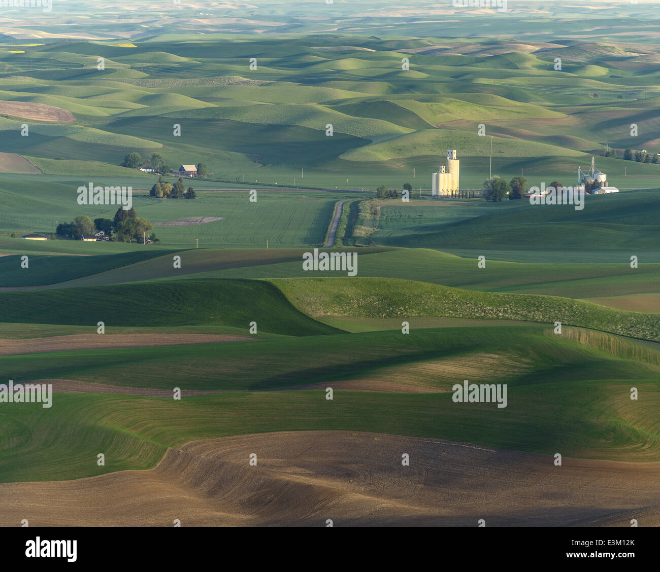 La Palouse, Whitman Comté, WA : fermes isolées et l'élévateur à grain parmi des champs de blé Banque D'Images