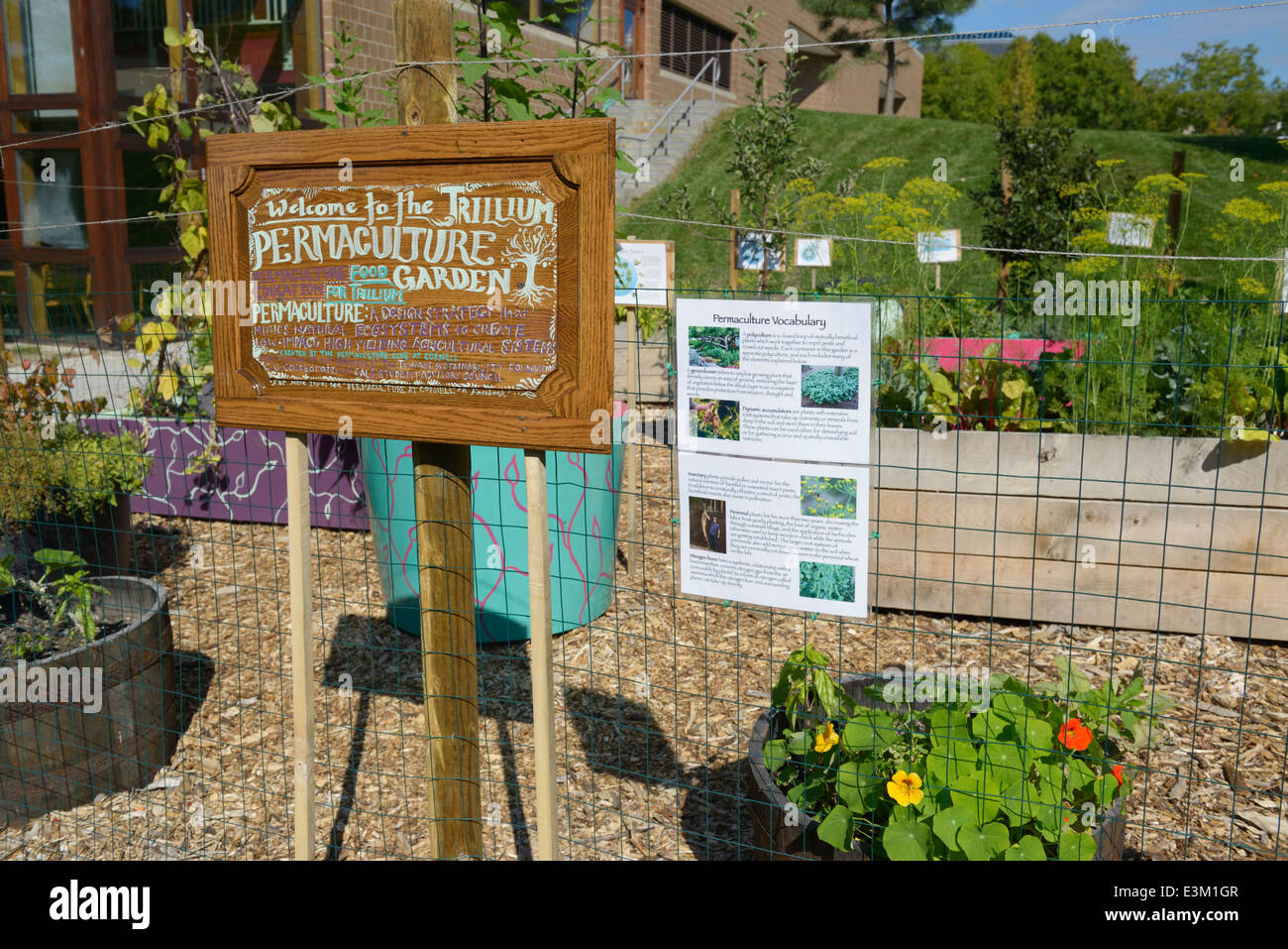 Jardin de permaculture expérimentale, Université de Cornell Banque D'Images