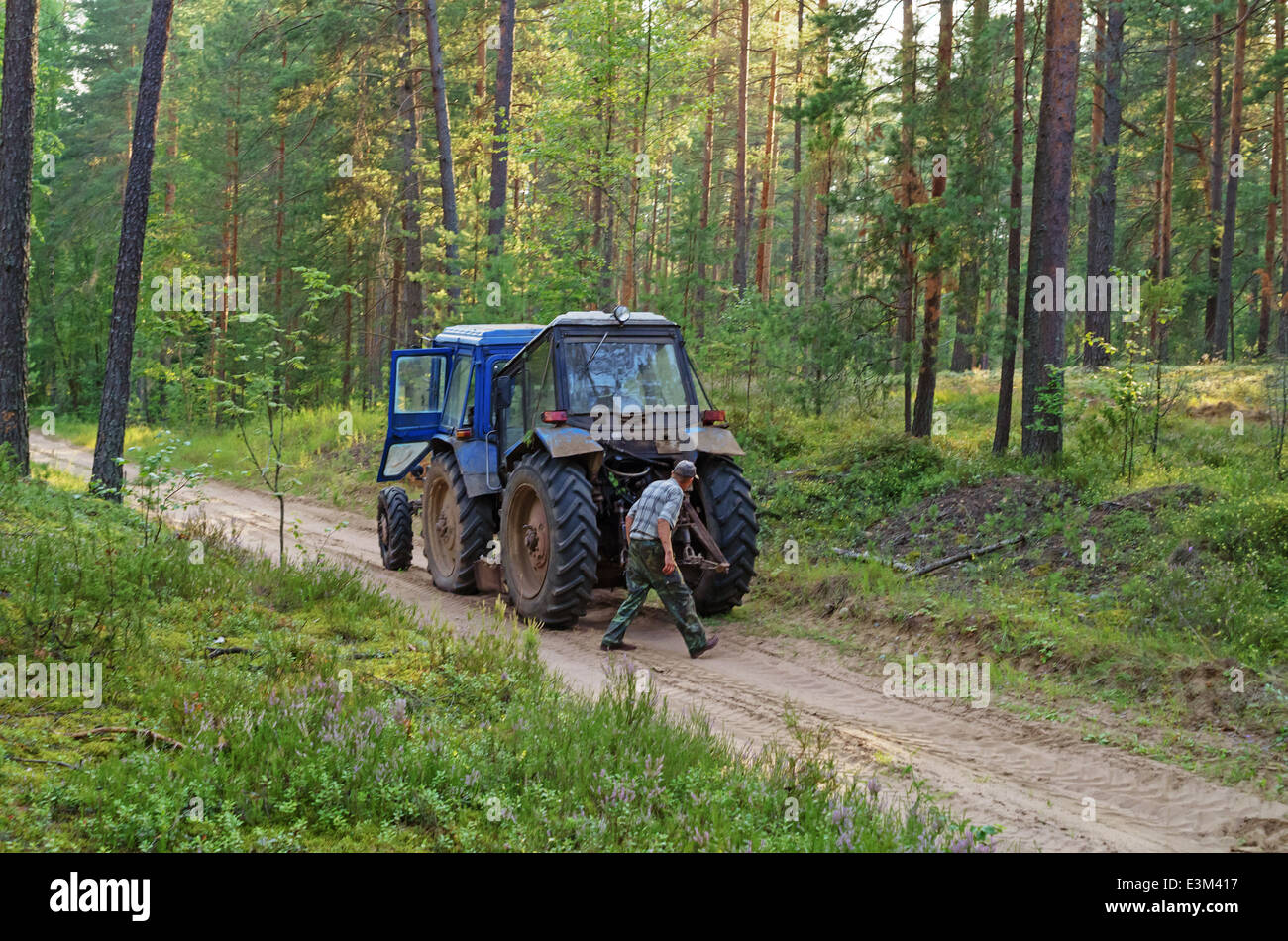 Rupture du tracteur dans le bois. Le tracteur a labouré un sillon divisant forest place à une tempête. Banque D'Images