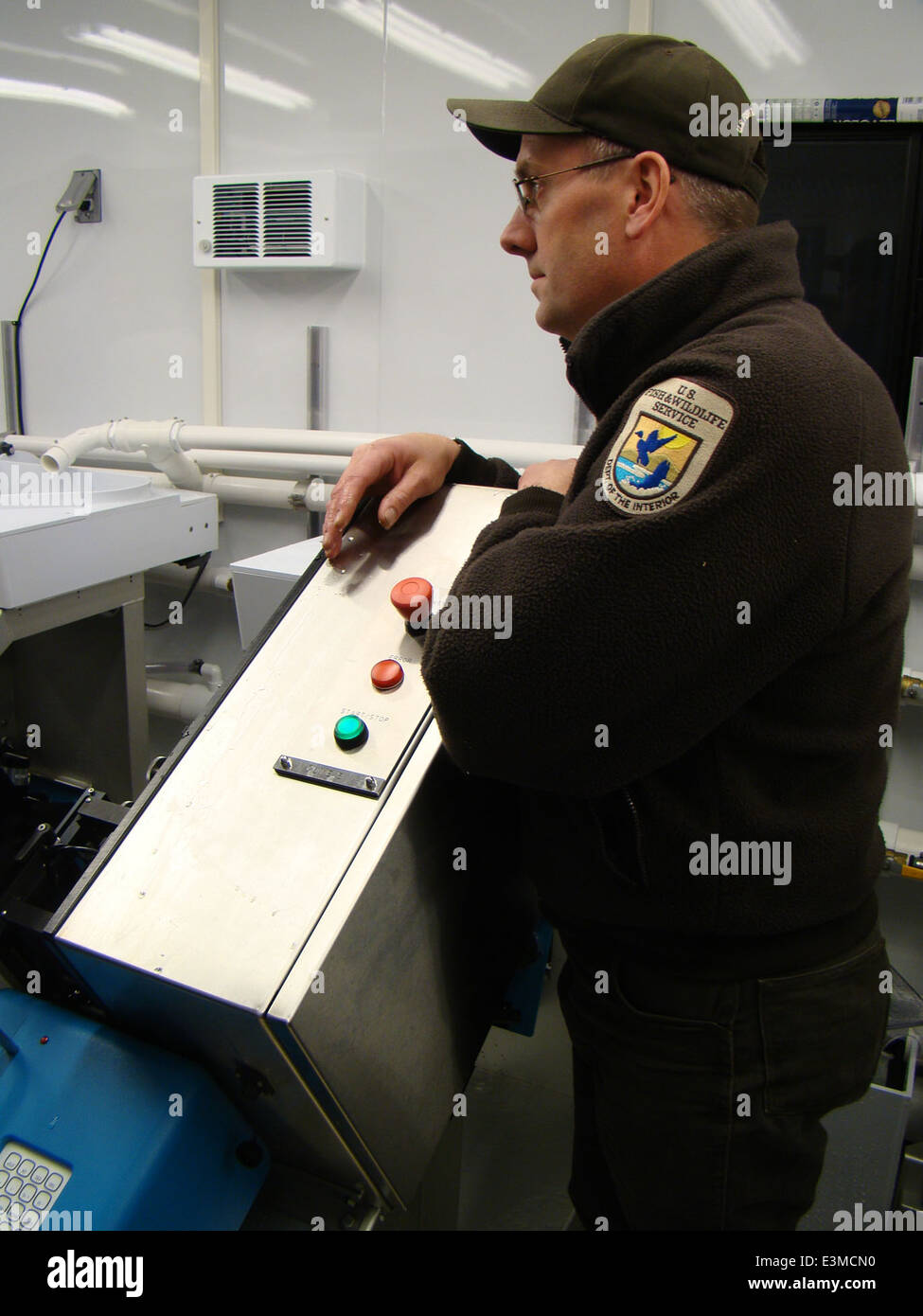 Le marquage de masse est une technique utilisée dans la gestion de la faune pour suivre et surveiller les populations. Cette méthode est utilisée pour identifier et évaluer les espèces à des fins de conservation et de recherche, fournissant ainsi des données précieuses pour la gestion des écosystèmes. Banque D'Images