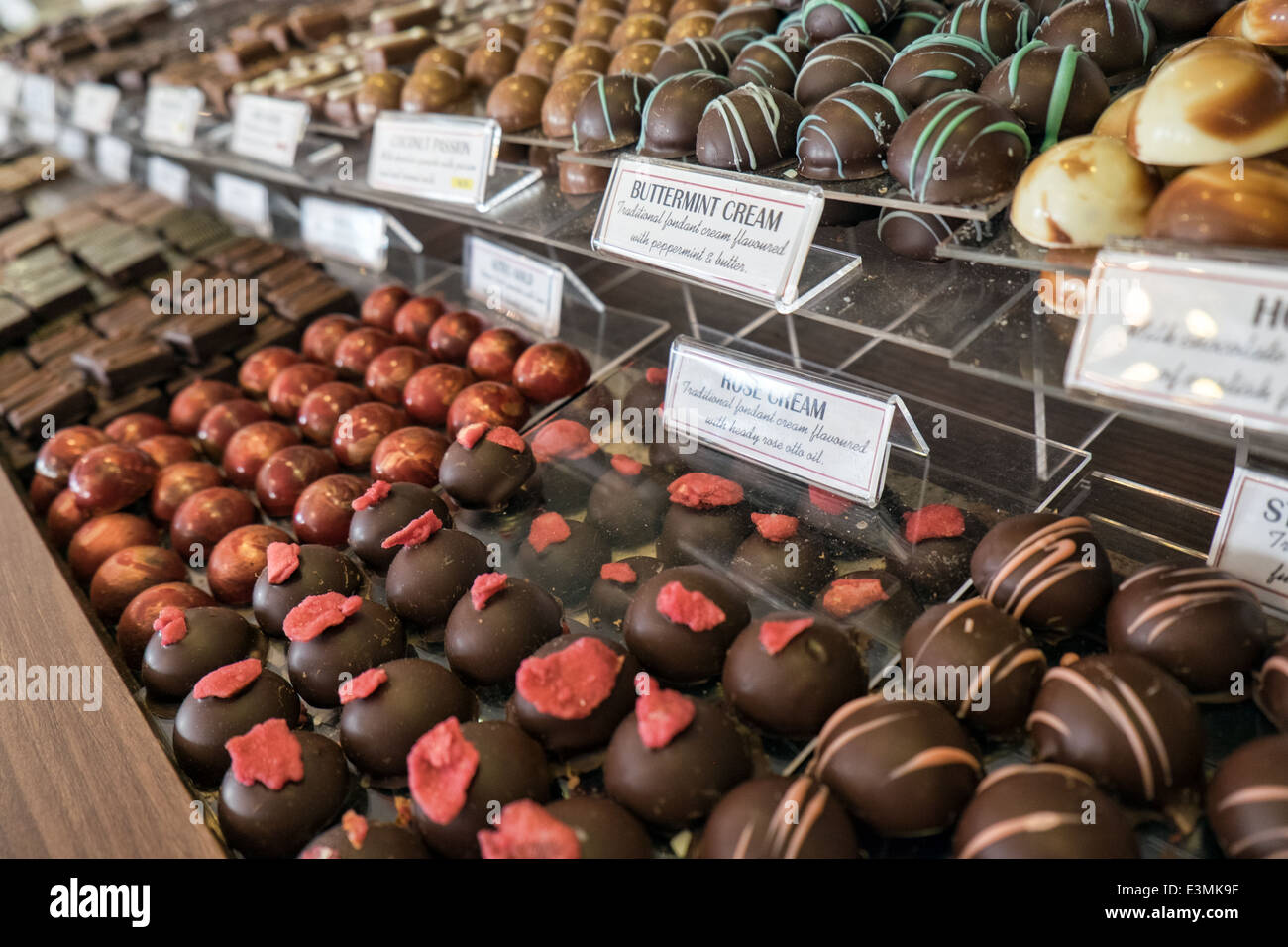 Un assortiment de chocolats fins, étiqueté et en rangées sur des plateaux dans un affichage à un artisan chocolatier's store Banque D'Images