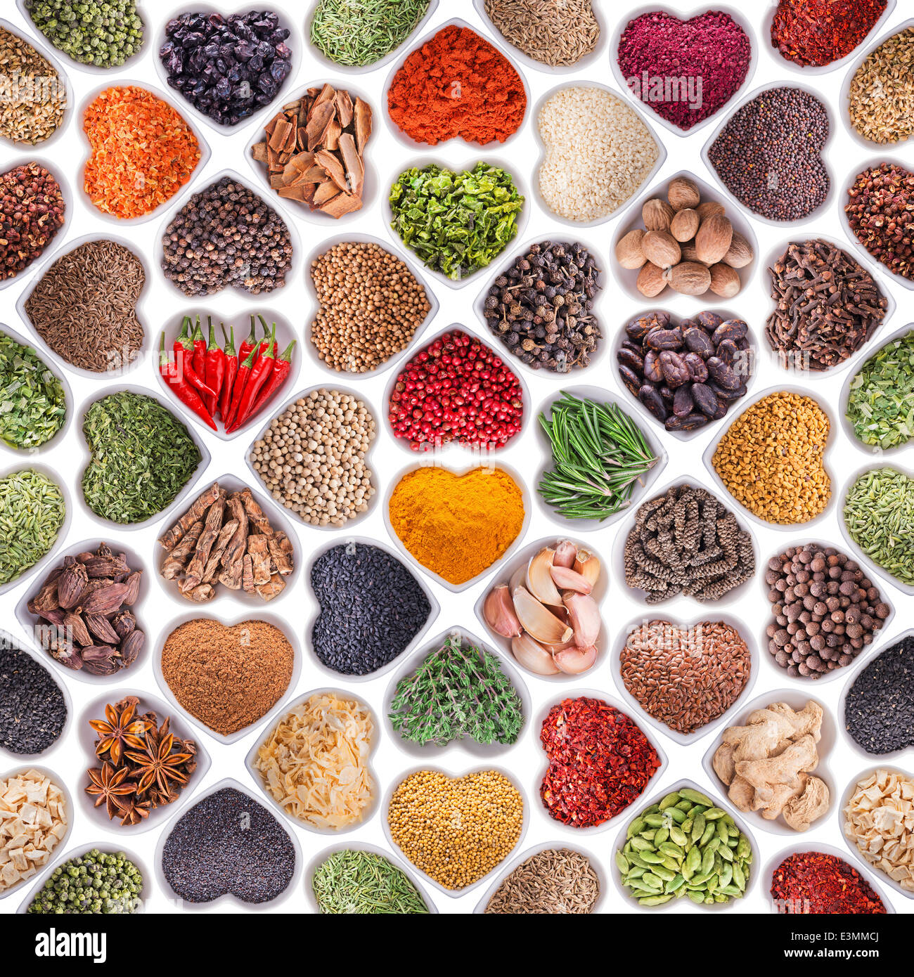 Seamless texture avec épices et herbes sur fond blanc Banque D'Images