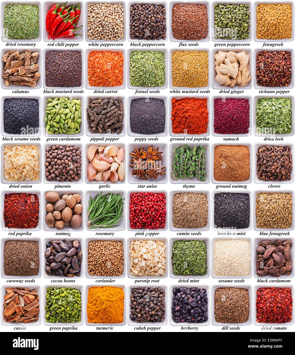 Grande collection de différentes épices et herbes isolé sur fond blanc Banque D'Images