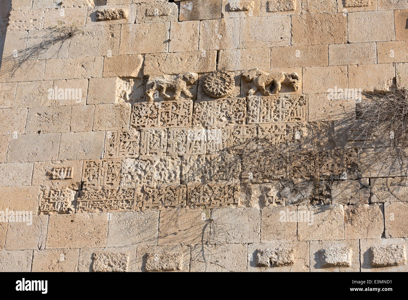 Détail de tour avec les lions et l'inscription, forteresse, Silvan, Turquie Banque D'Images