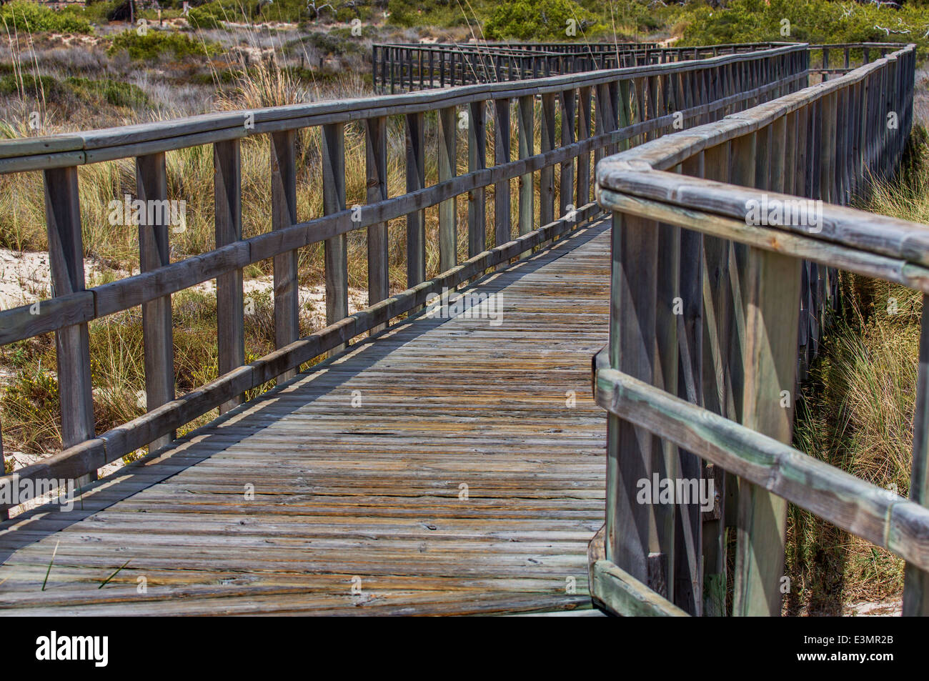 Promenade à Por el Parque Regional de las Salinas y Arenales de San, Pedr, Espagne, San Pedro del Pinatar Banque D'Images