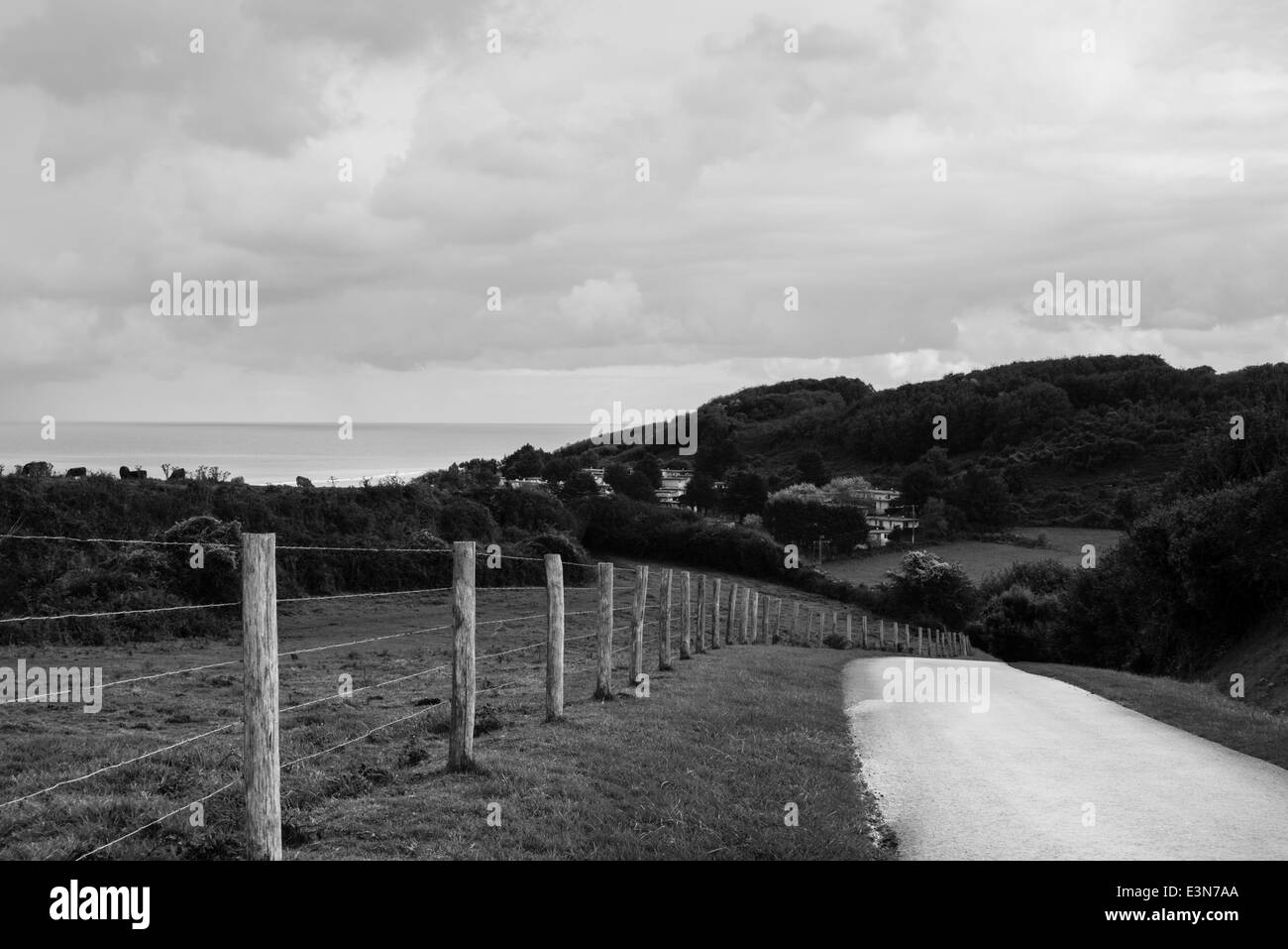 Route de campagne et pâturage clôturé au-dessus d'Omaha Beach, Normandie, France Banque D'Images