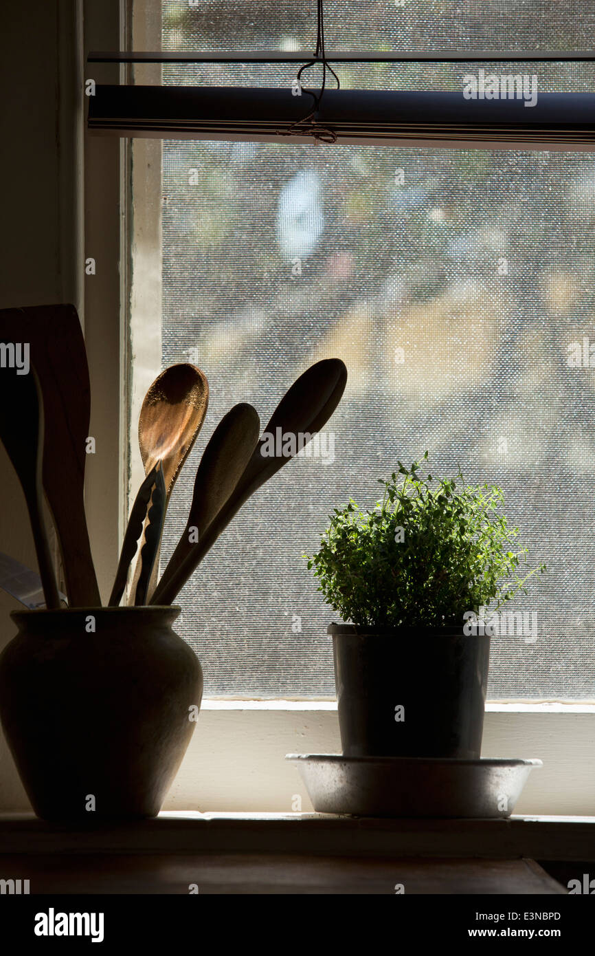 Cuillères en bois dans un vase par houseplant on window sill Banque D'Images