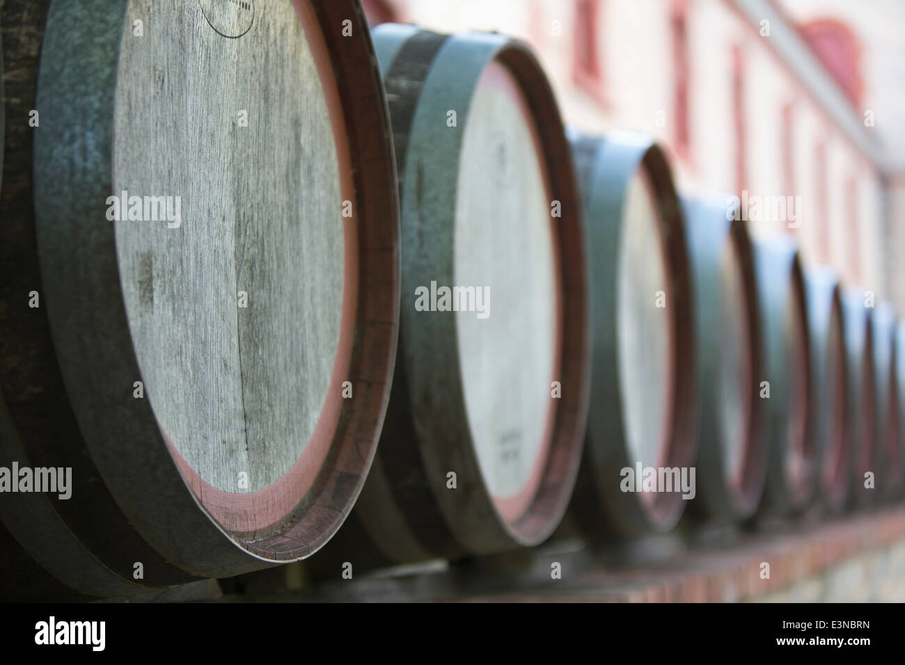 Des tonneaux de vin en cave Banque D'Images