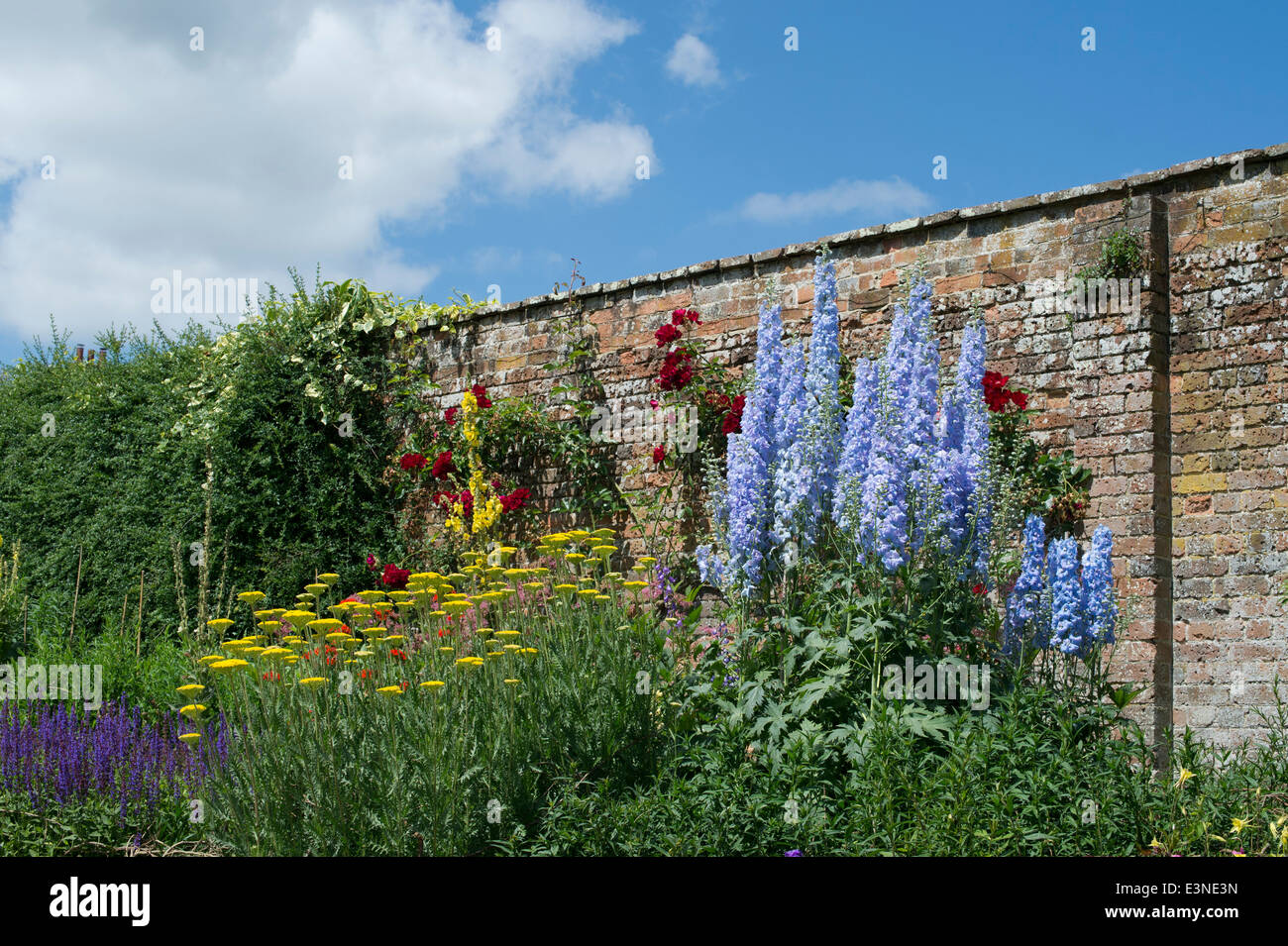 Frontière herbacées classiques à Waterperry gardens, Oxfordshire, Angleterre Banque D'Images