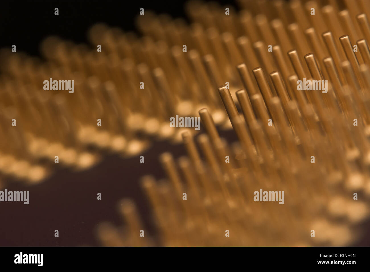 Micro-photo d'or broches enduites d'un CPU de l'ordinateur. Pour focus point voir la section "Description". Banque D'Images