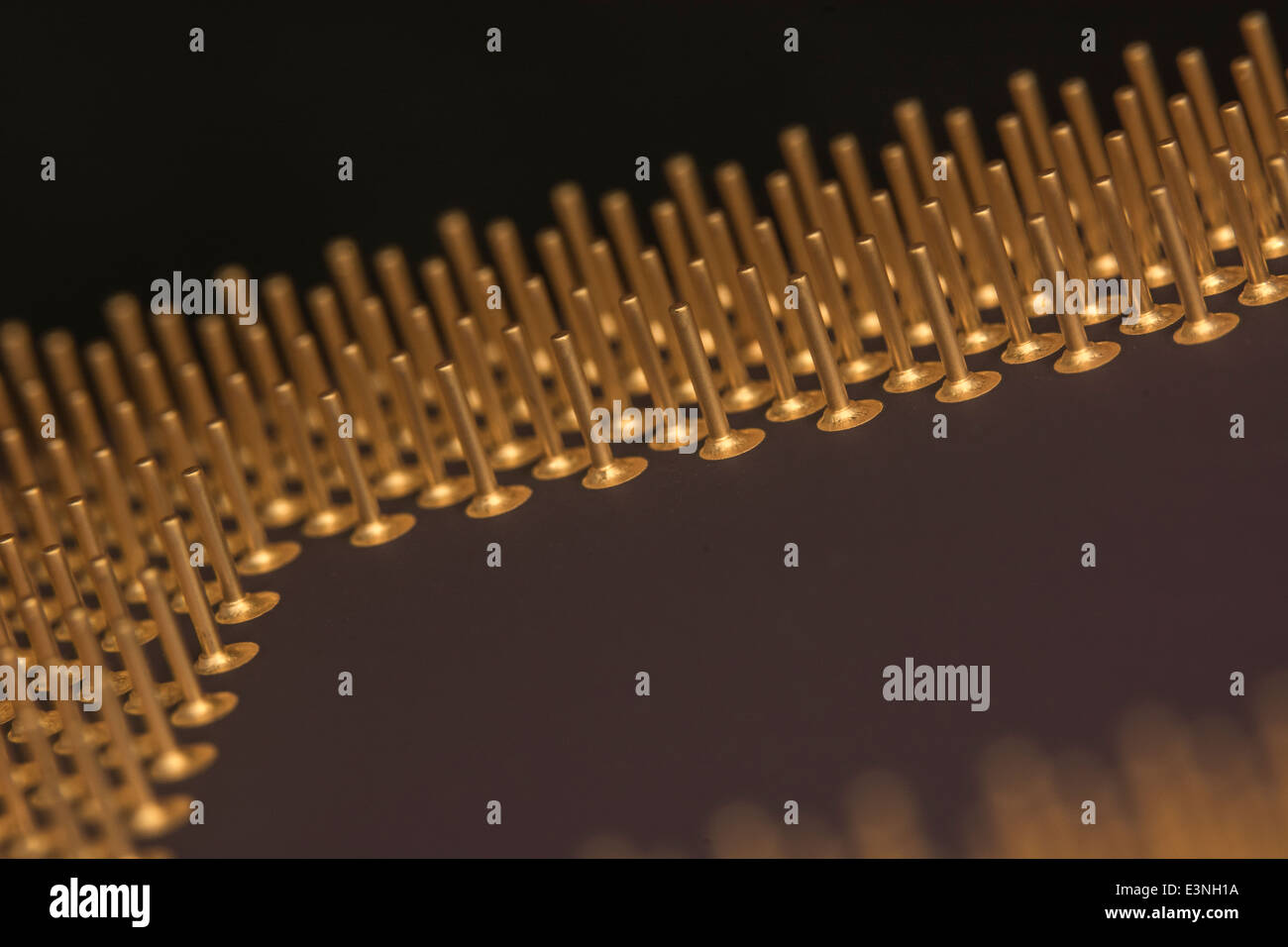 Micro-photo d'or broches enduites d'un CPU de l'ordinateur. Pour focus point voir la section "Description". Banque D'Images