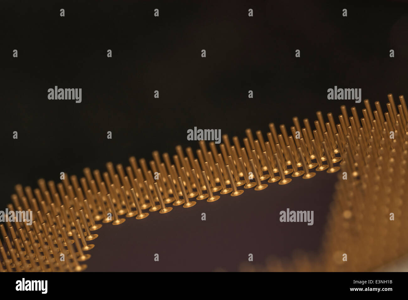 Micro-photo d'or broches enduites d'un CPU de l'ordinateur. Pour focus point voir la section "Description". Banque D'Images