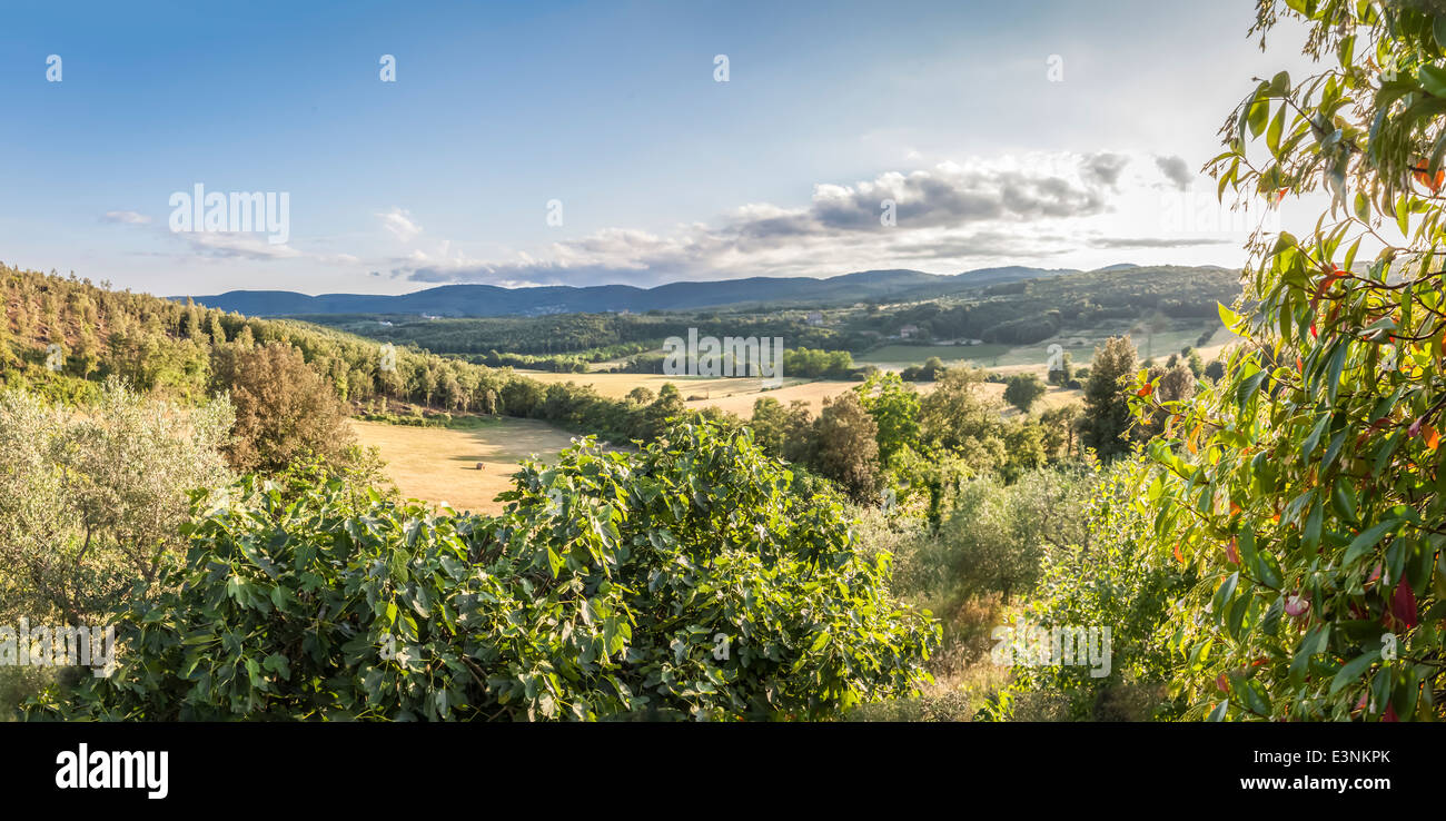 Vue sur les collines au crépuscule dans Santa Colomba, Sienne, toscane, italie Banque D'Images