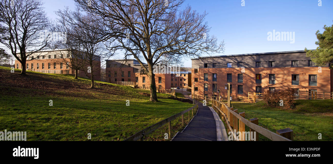 Birks de l'Université de Exeter Exeter Hall. Iles Willmore Architectes ont réalisé un grand développement de logements étudiants à Banque D'Images