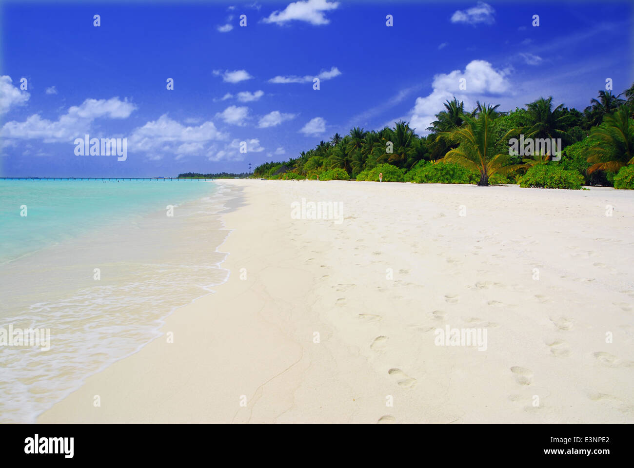 Paradis tropical aux Maldives avec sable blanc et mer turquoise Banque D'Images