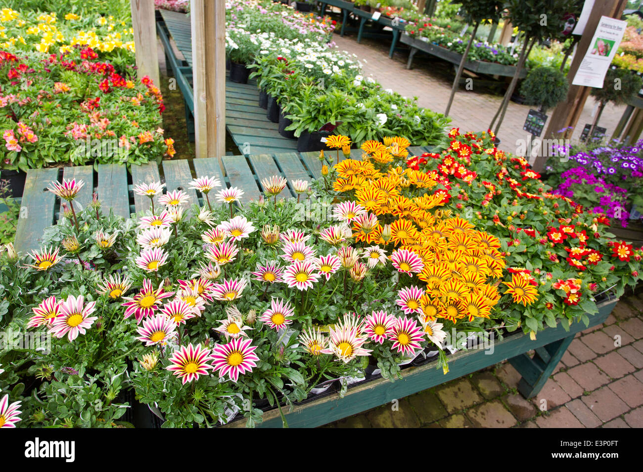 Beetham Pépinières garden centre Banque D'Images