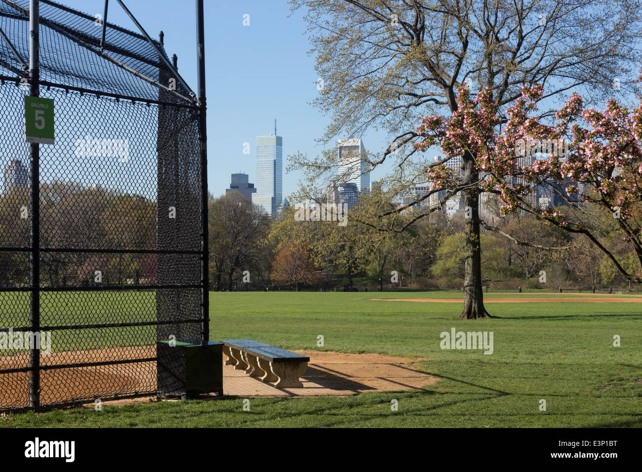 Champs de softball, la grande pelouse, Central Park, NYC Banque D'Images