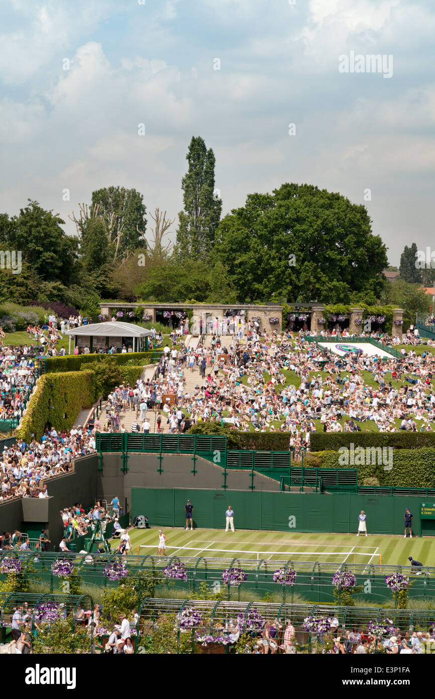 Wimbledon tennis - la foule à l'All England Lawn Tennis Championships, Juin 2014 Banque D'Images