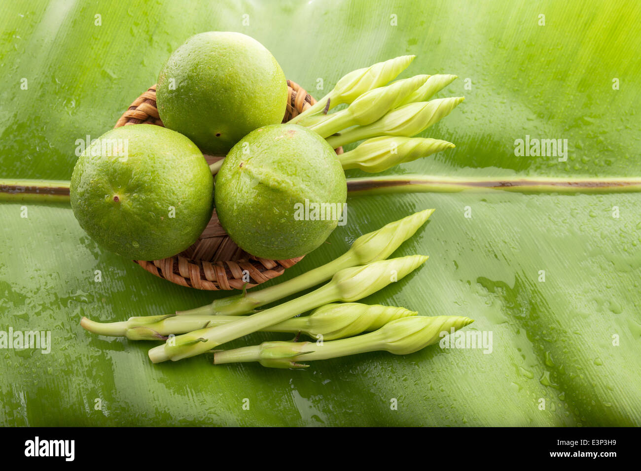 Fleurs comestibles Moonflower (Ipomoea alba L.) et de citron. Banque D'Images