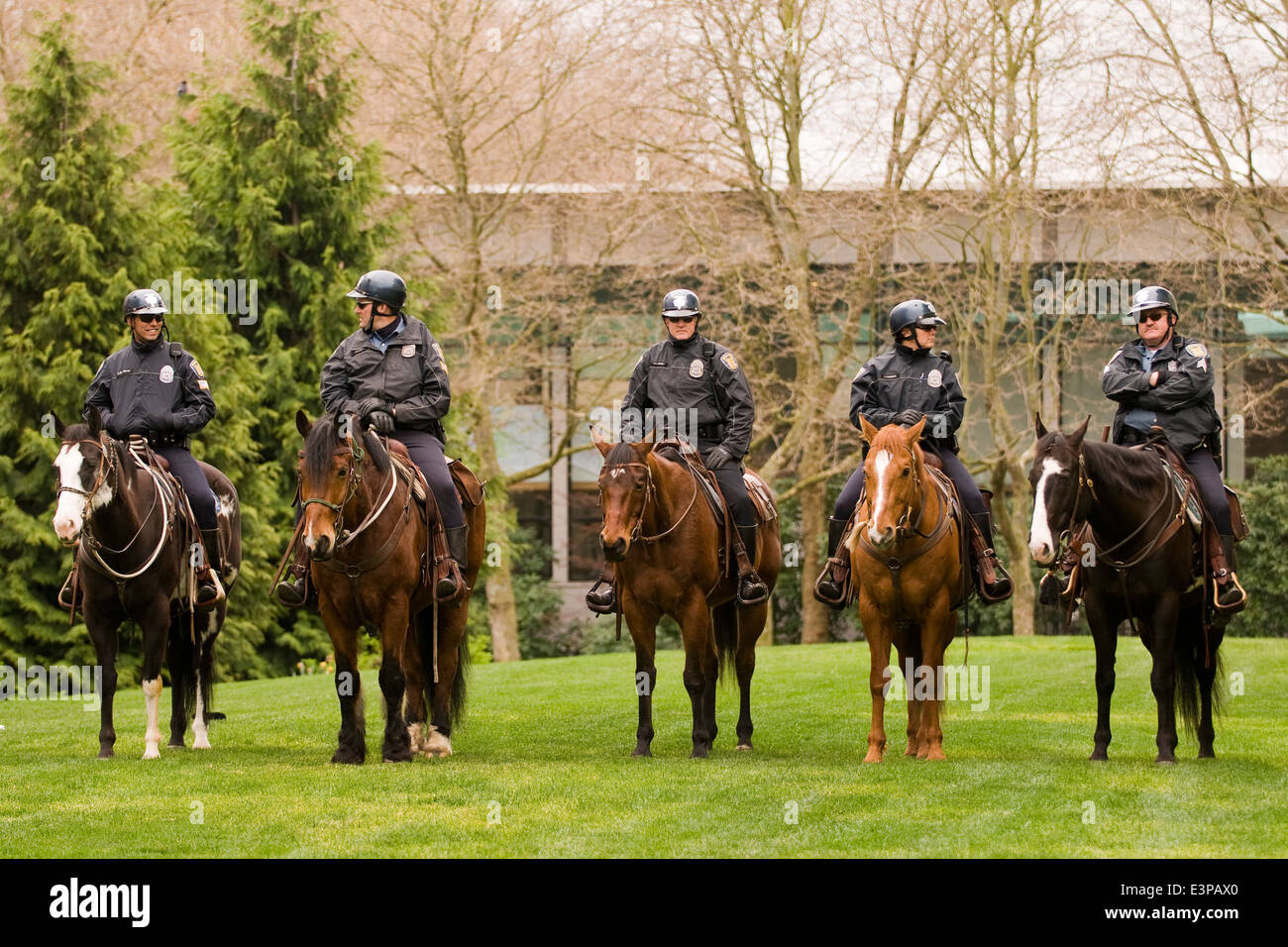 Seattle. La police à cheval 2008 cinq graines de compassion. Banque D'Images