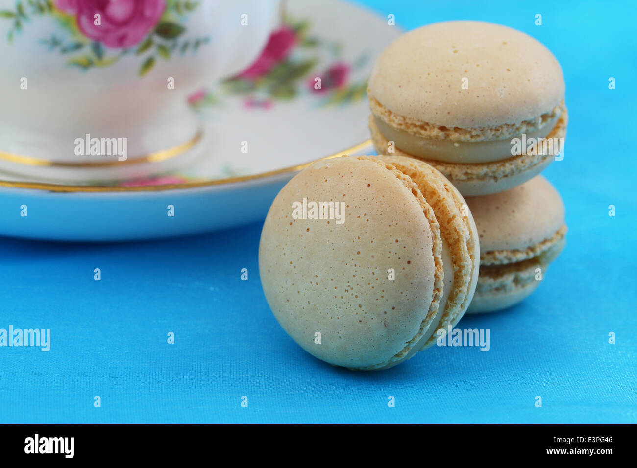 Macarons vanille, Close up Banque D'Images