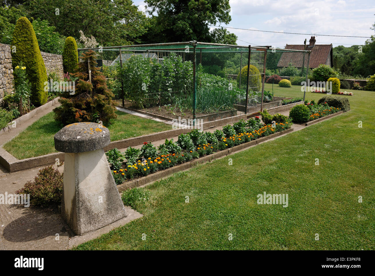 Clôturé Potager, dans un jardin dans un grand orme, près de Mells, Somerset. Banque D'Images