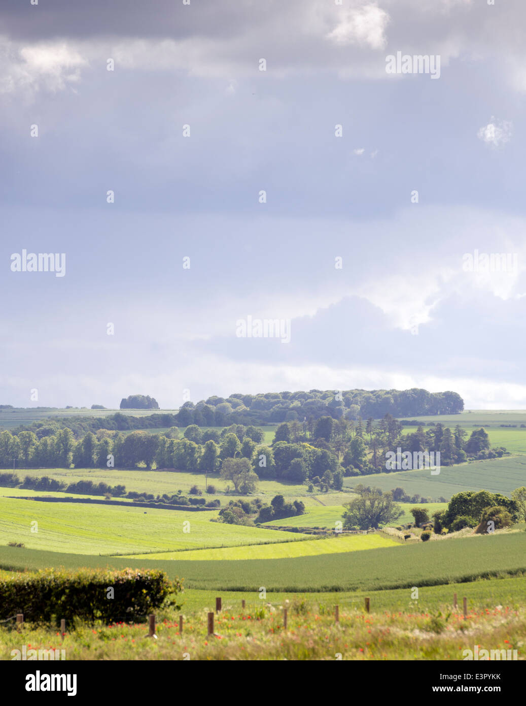 Vue panoramique de la campagne anglaise au printemps Banque D'Images