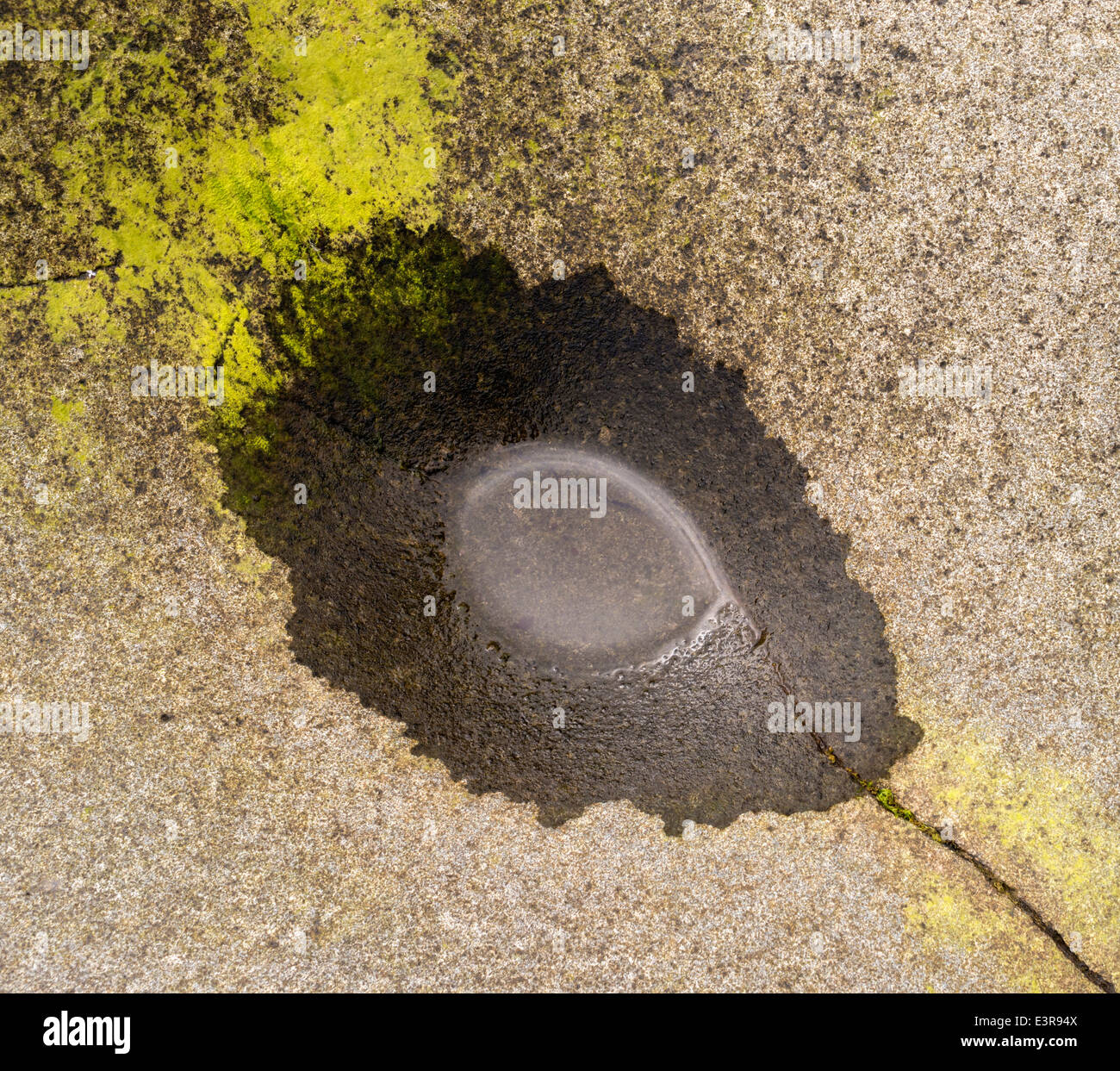 Résumé de l'oeil en forme de feuilles formées par de minuscules flaques d'eau sur la roche humide Banque D'Images