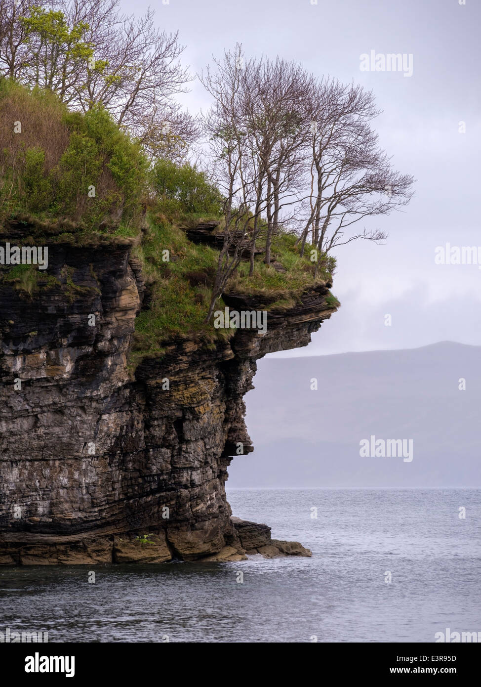 Les arbres sur les falaises rocheuses érodées sur les rives du Loch Slapin près d'Elgol, île de Skye, Écosse Banque D'Images