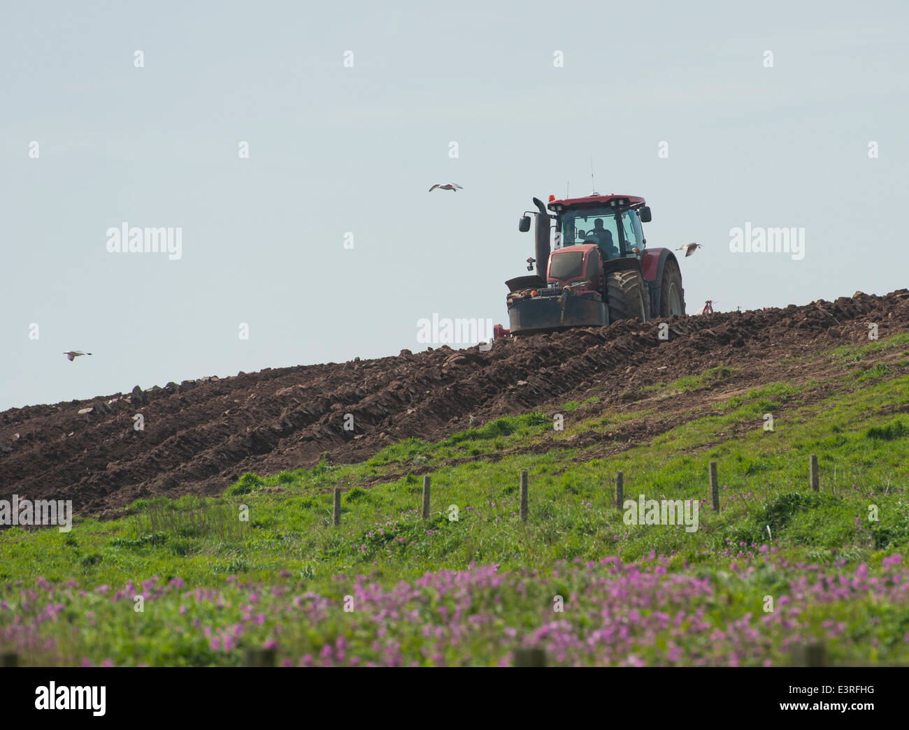 Tracteur agricole rural labour champs arables dans la campagne anglaise Banque D'Images