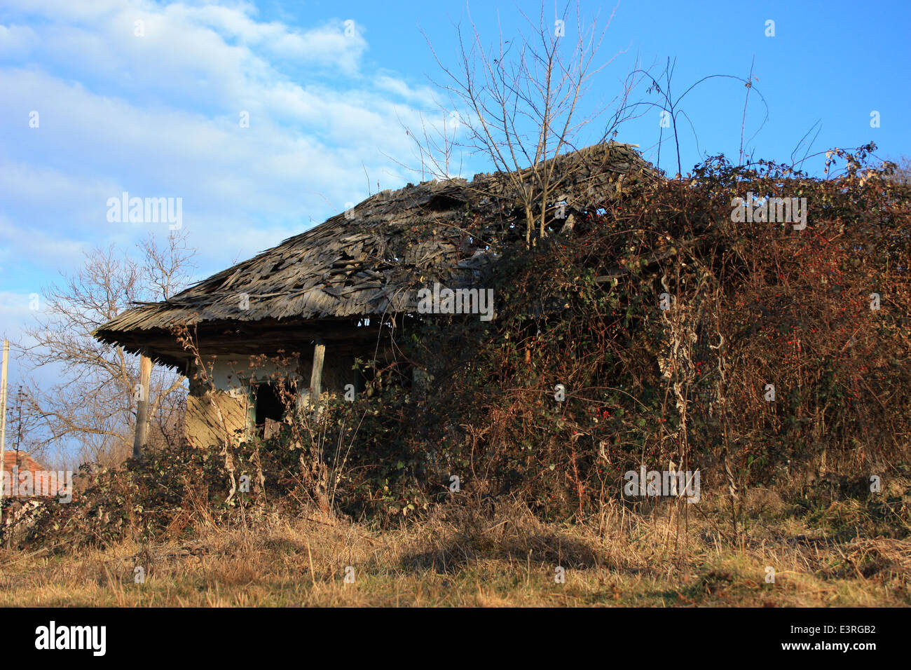 Vieille maison abandonnée et endommagé par le temps et les intempéries, campagne Roumanie Banque D'Images