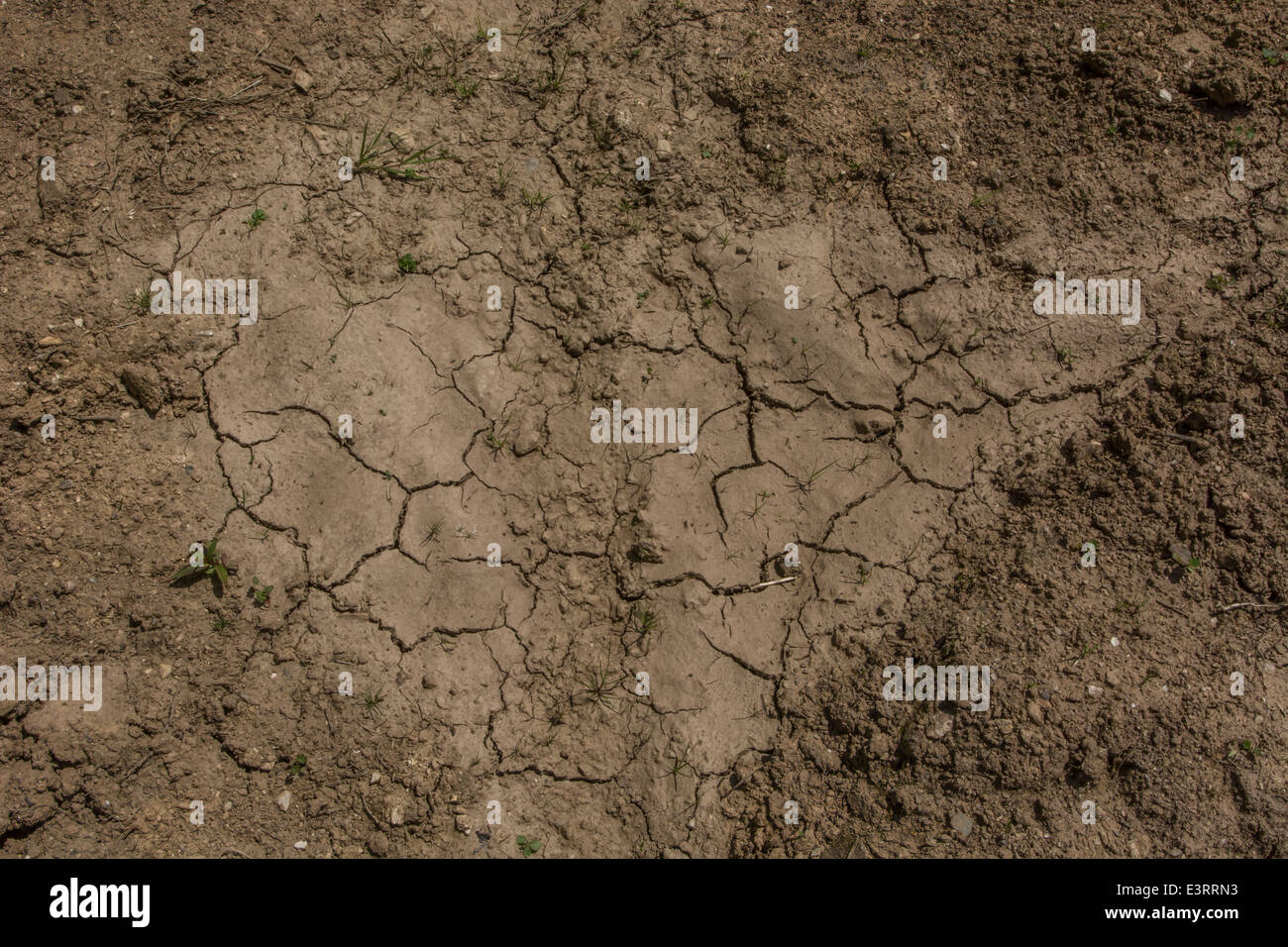 Royaume-uni / sécheresse des signes de pénurie d'eau en attendant que la boue des fissures dans la chaleur. Cultures canicule métaphore, crise de l'eau. Fissures dans la masse. Banque D'Images