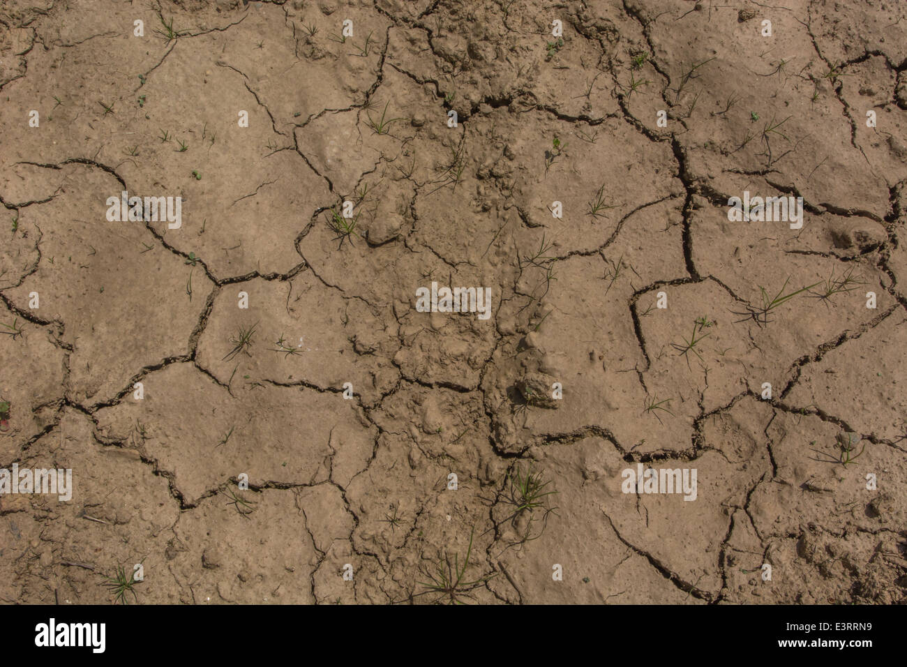 Royaume-uni / sécheresse des signes de pénurie d'eau en attendant que la boue des fissures dans la chaleur. Métaphore de concept vague de canicule, les cultures, la crise de l'eau, l'été chaud et sec Banque D'Images