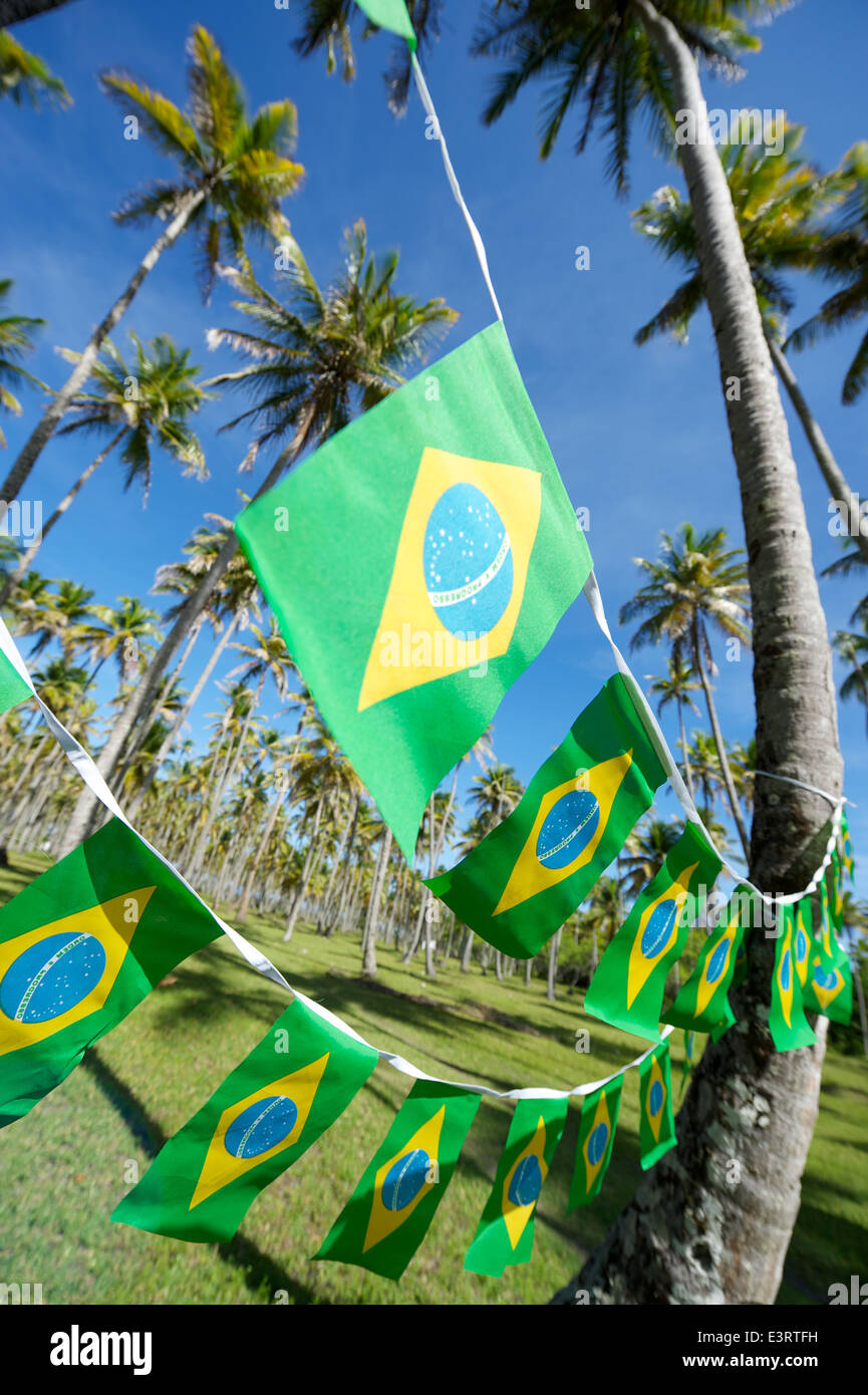 Brazilian flag bunting pendaison au bosquet de grands cocotiers vert debout dans un bleu ciel Nordeste du Brésil tropical Banque D'Images Brazilian flag bunting pendaison au bosquet de grands cocotiers vert debout dans un bleu ciel Nordeste du Brésil tropical Banque D'Images
