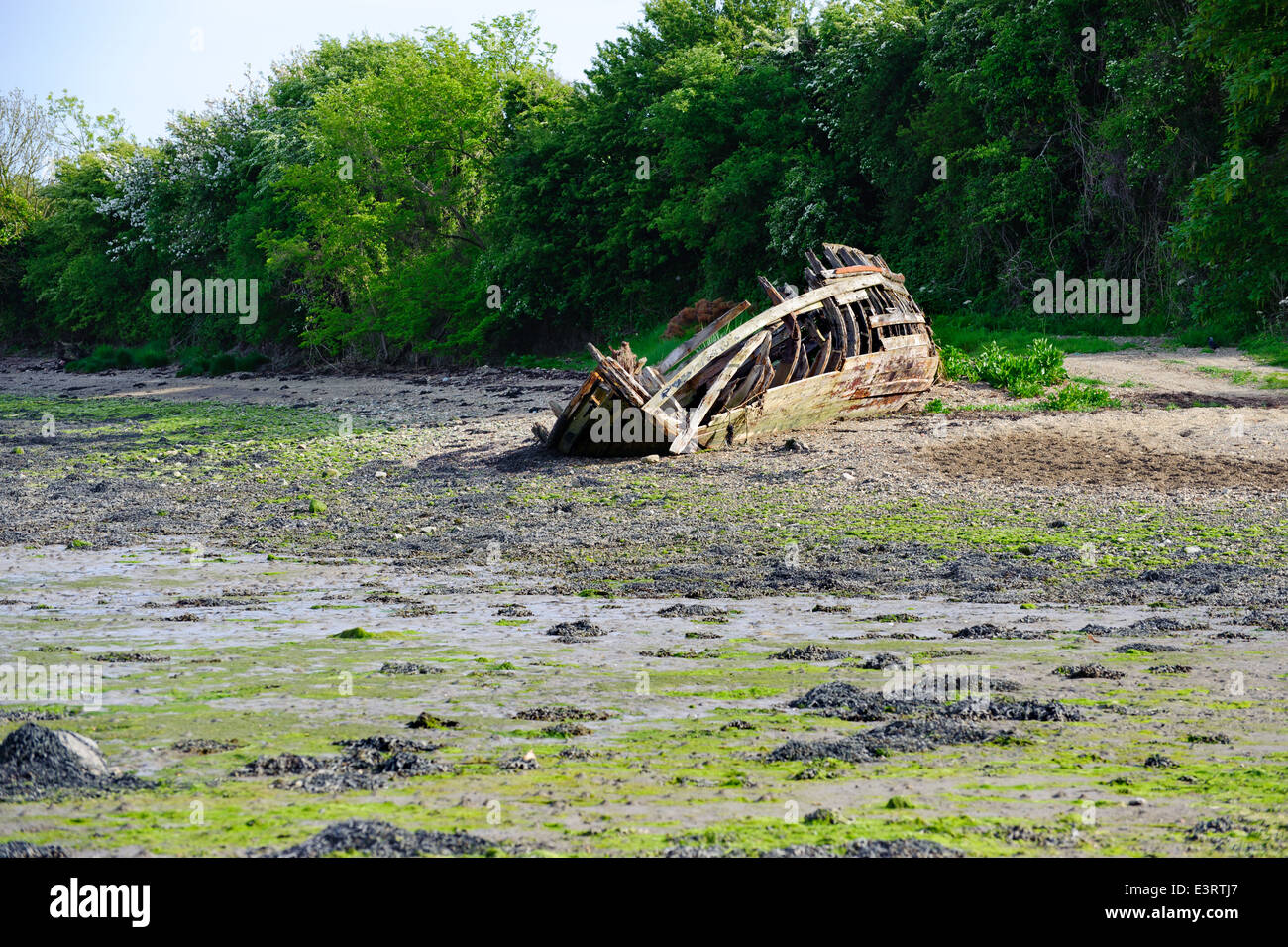 Vieux bateau de pêche près de Saltmills, Co Wexford, Irlande Banque D'Images