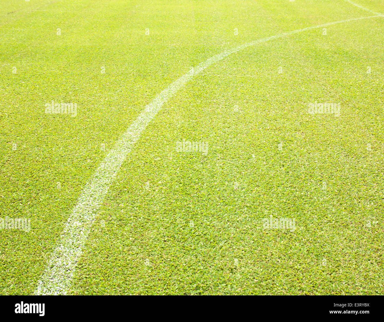 Terrain de football greensward background green field Banque D'Images