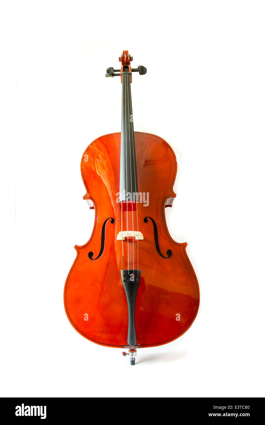 Violon sur fond blanc Banque D'Images