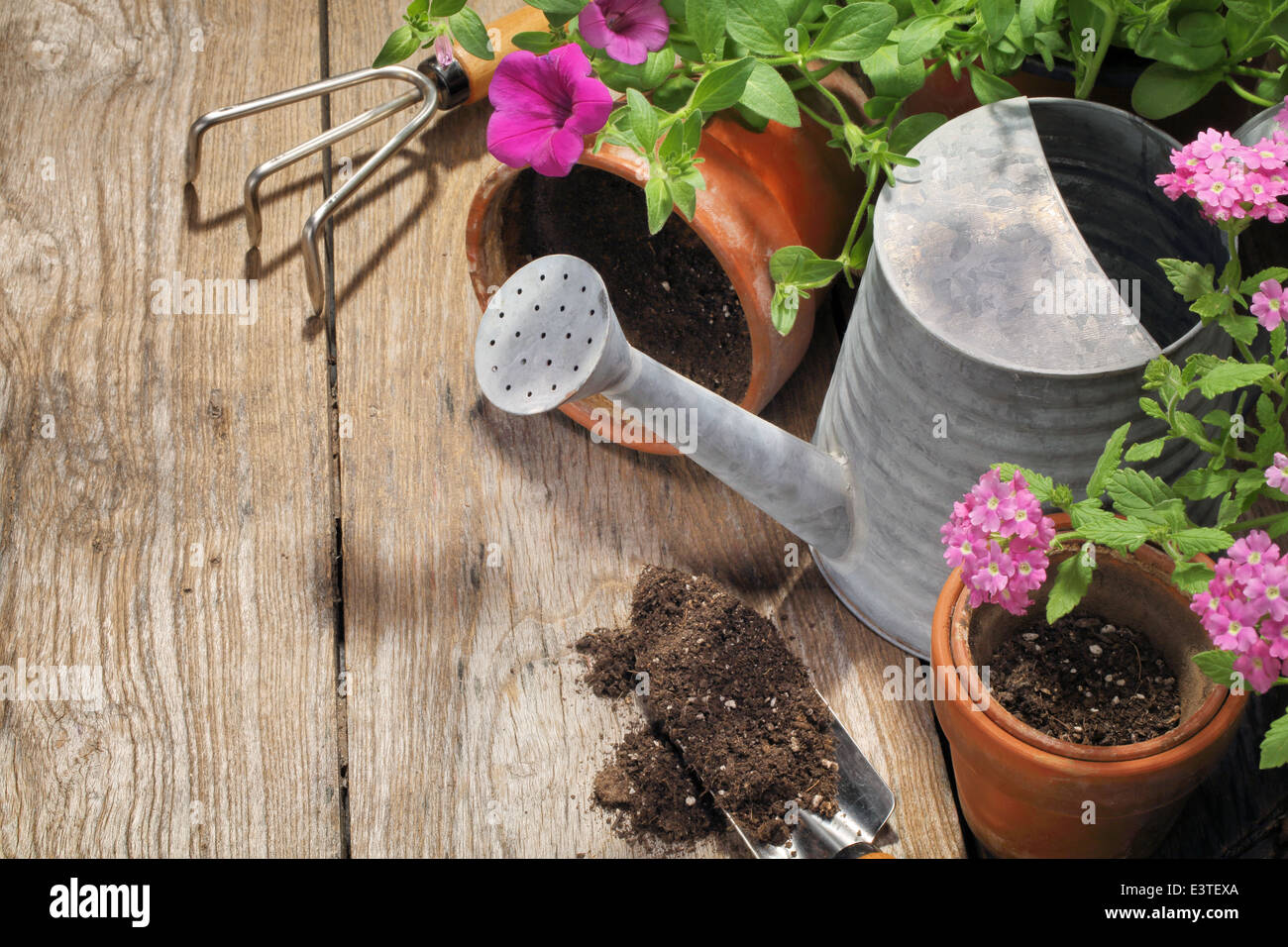 Outils de jardinage et de fleurs sur fond de bois Banque D'Images