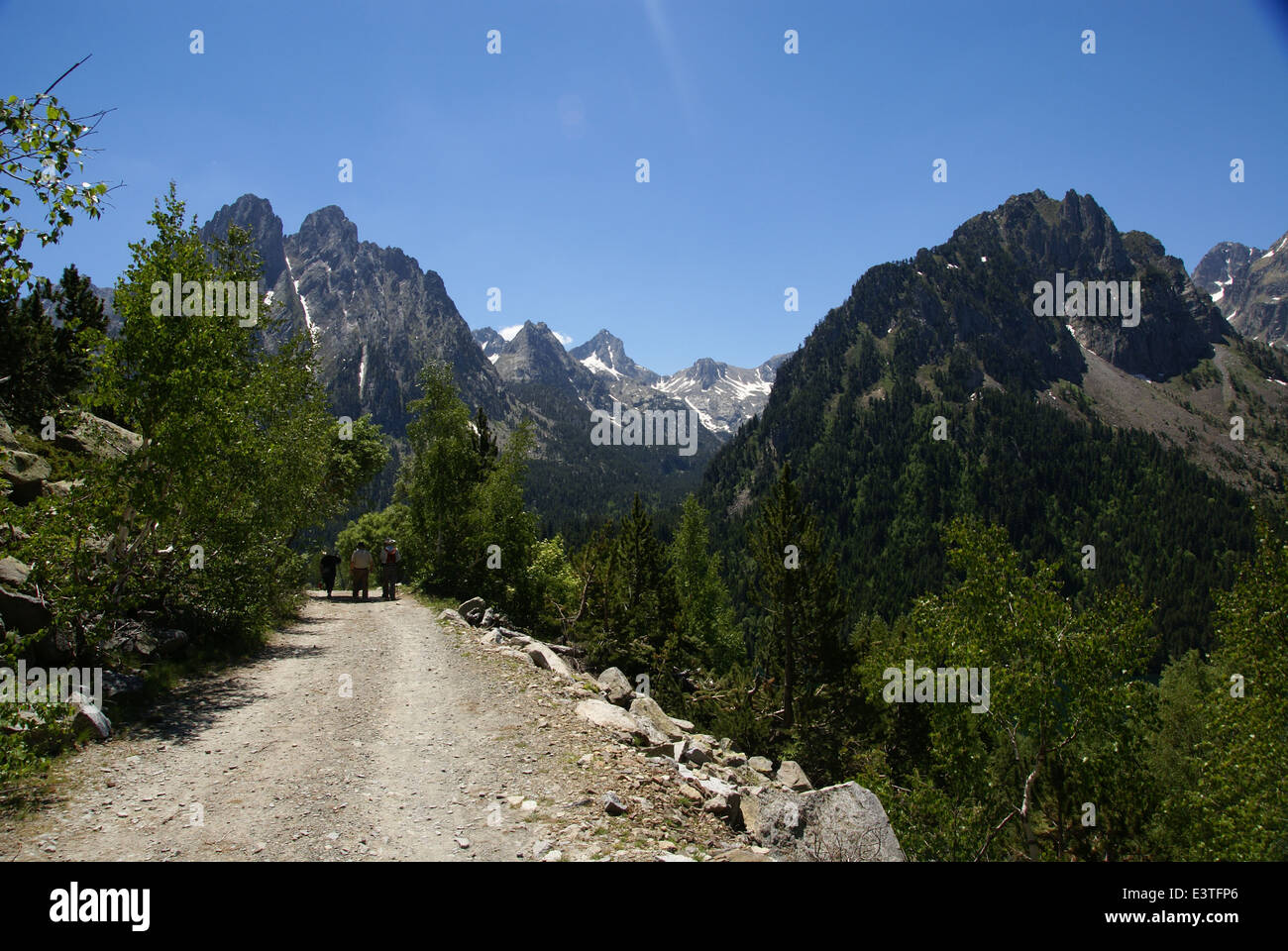 J'Aigüestortes Estany de Sant Maurici National Park, Catalogne, Espagne Banque D'Images