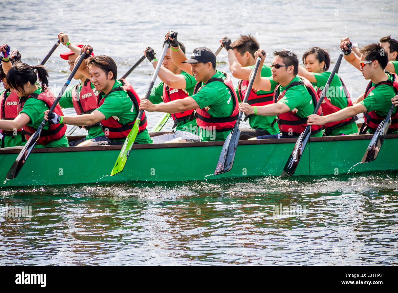 Londres, Royaume-Uni. 29 Juin, 2014. Londres Hong Kong Dragon Boat Festival 2014 Credit : Guy Josse/Alamy Live News Banque D'Images