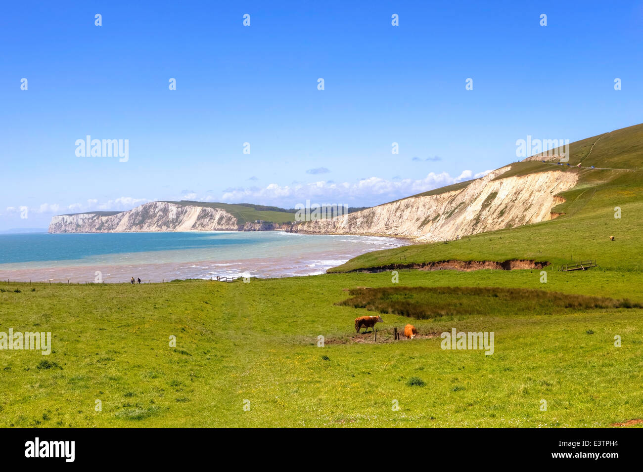 Compton Bay, île de Wight, Angleterre, Royaume-Uni Banque D'Images